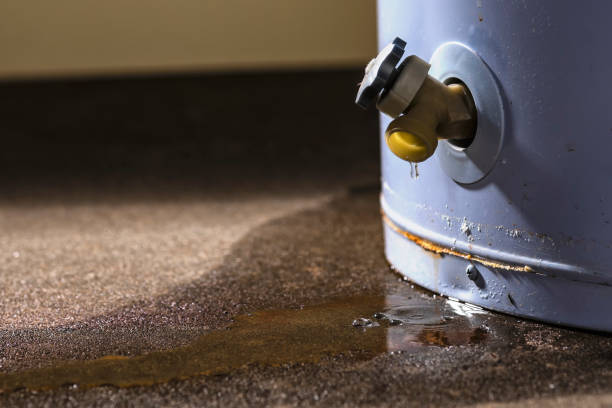 Best 24/7 water damage repair  in Minersville, PA