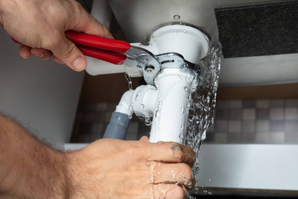Best Flooded house restoration  in Minersville, PA