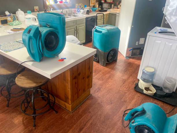 Best Commercial water damage restoration  in Minersville, PA