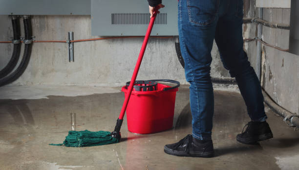 Best Fire Damage Restoration  in Minersville, PA