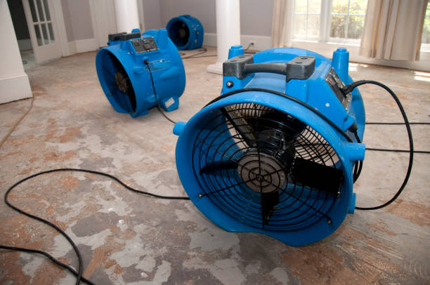 Best Commercial water damage restoration  in Minersville, PA