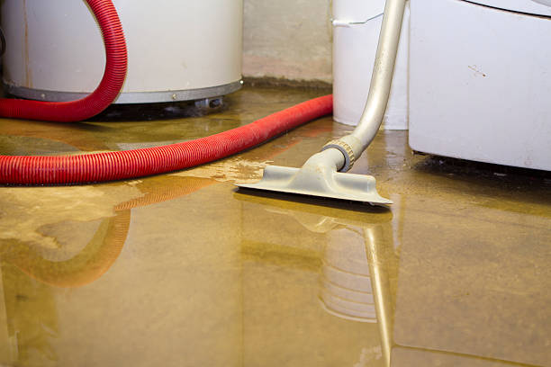 Best Basement water damage restoration  in Minersville, PA