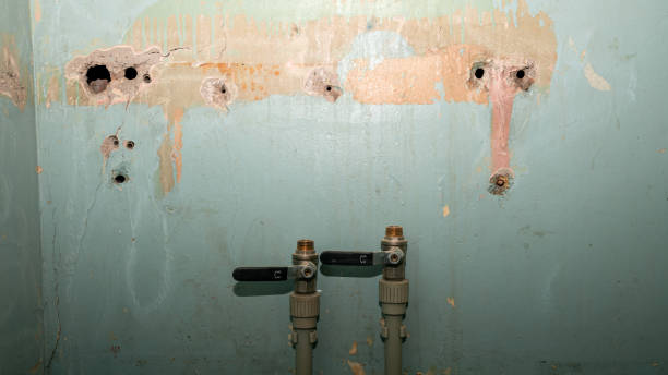 Professional Water damage restoration in Minersville, PA
