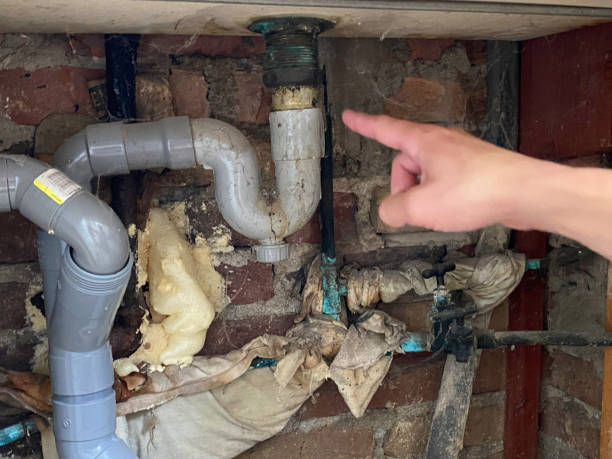 Best Local water damage restoration  in Minersville, PA