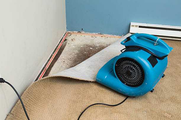 Best Professional water damage repair  in Minersville, PA